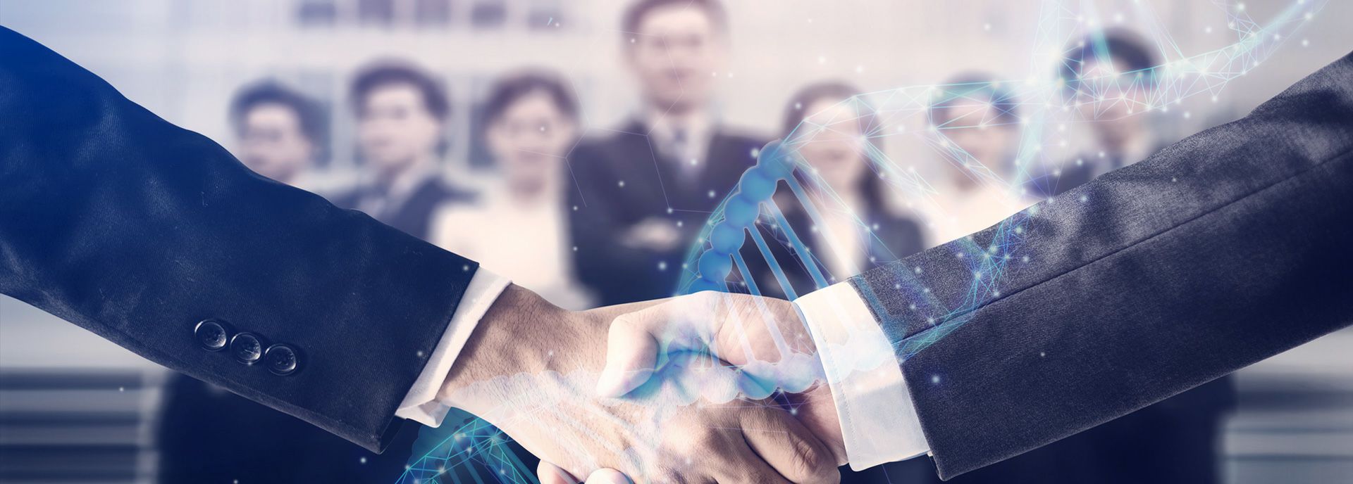 开云体育平台官方网站-开云体育(中国)